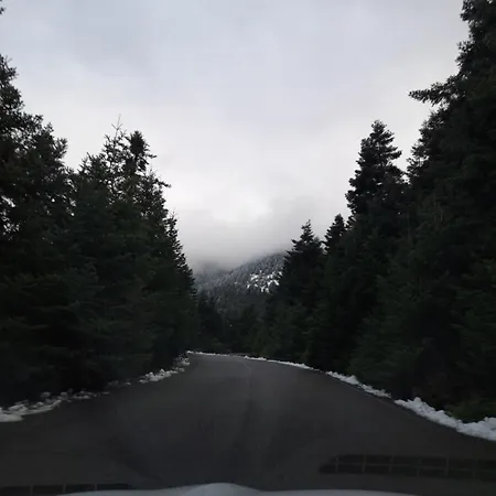 Trifonakia Βυτίνα